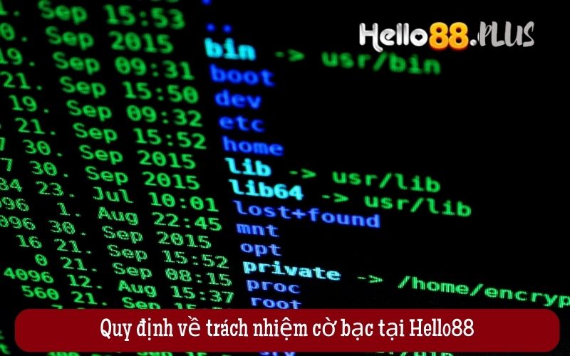 Quy-dinh-ve-trach-nhiem-co-bac-tai-Hello88