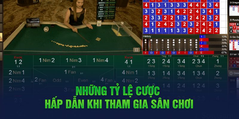 Những tỷ lệ cược hấp dẫn khi tham gia sân chơi